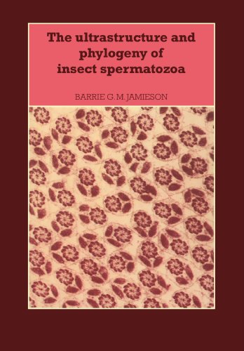 The Ultrastructure and Phylogeny of Insect Spermatozoa