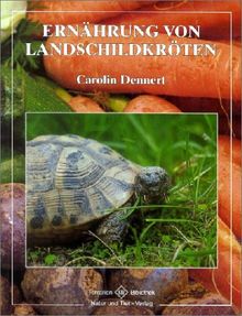 Ernährung von Landschildkröten