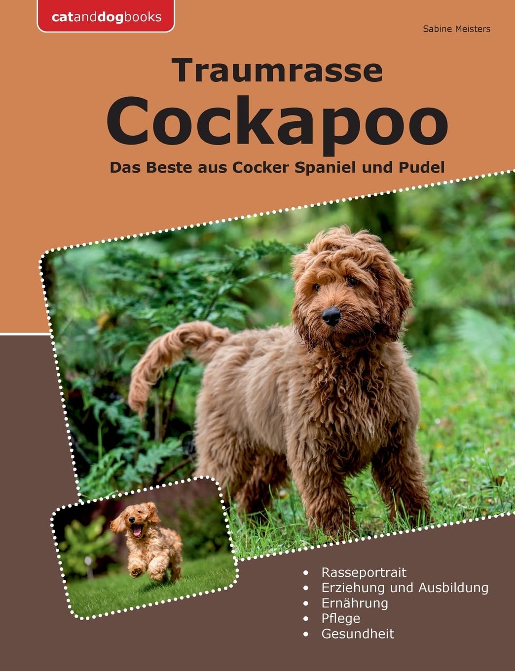 Traumrasse Cockapoo: Das Beste aus Cocker Spaniel und Pudel von ...