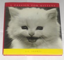 A Passion for Kittens