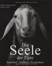 Die Seele der Tiere: Gesichter . Gefühle . Geschichten