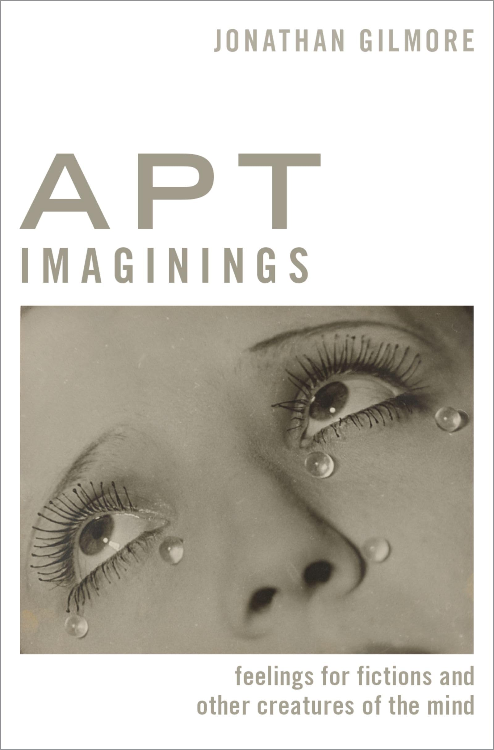 Apt Imaginings: Feelings for Fictions and Other Creatures of the Mind (Thinking Art)