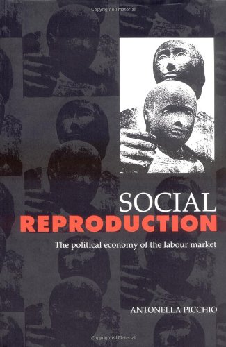 Social Reproduction: The Political Economy of the Labour Market