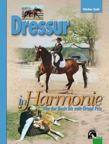 Dressur in Harmonie: Von der Basis bis zum Grand Prix