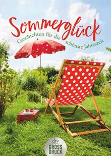 Sommerglück (dtv großdruck)