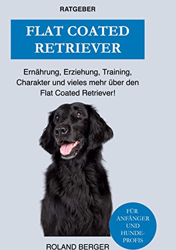 Flat Coated Retriever: Charakter, Training, Ernährung, Erziehung und vieles mehr über den Flat Coated Retriever