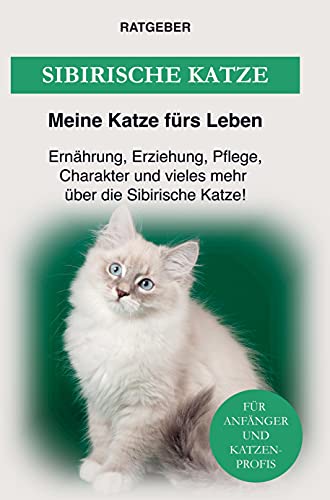 Sibirische Katzenrasse: Erziehung, Ernährung, Pflege, Charakter und einiges mehr über die Sibirische Katze!
