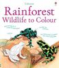Rainforest to Colour (Colouring Books)