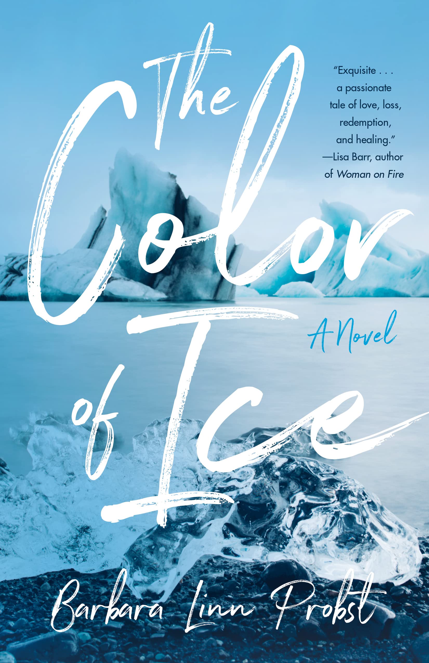 The Color of Ice: A Novel