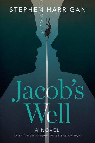 Jacob's Well: A Novel