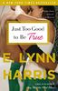 Just Too Good to Be True: A Novel