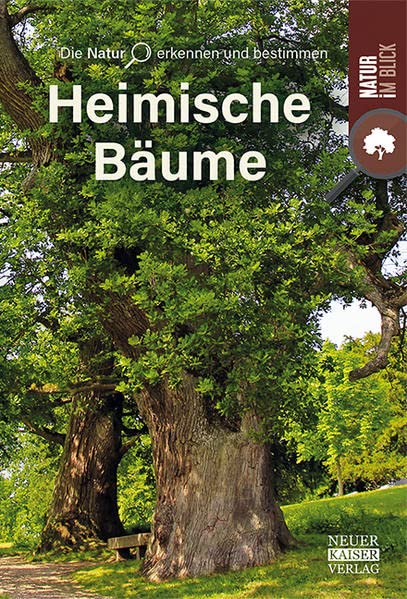 Heimische Bäume: Die Natur erkennen und bestimmen - Natur im Blick