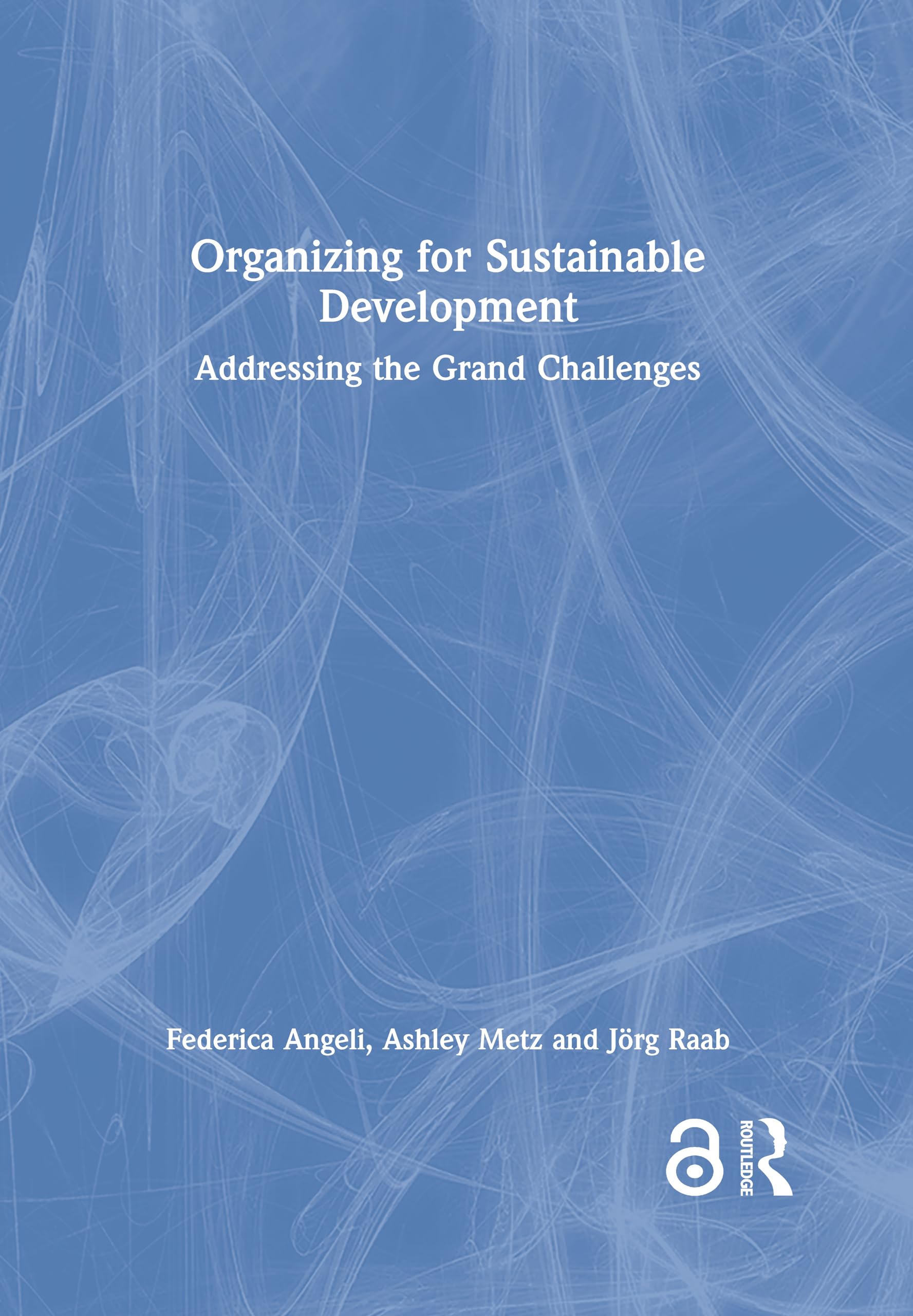 Organizing for Sustainable Development: Addressing the Grand Challenges