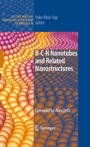 B-C-N Nanotubes and Related Nanostructures (Lecture Notes in Nanoscale Science and Technology, Band 6)