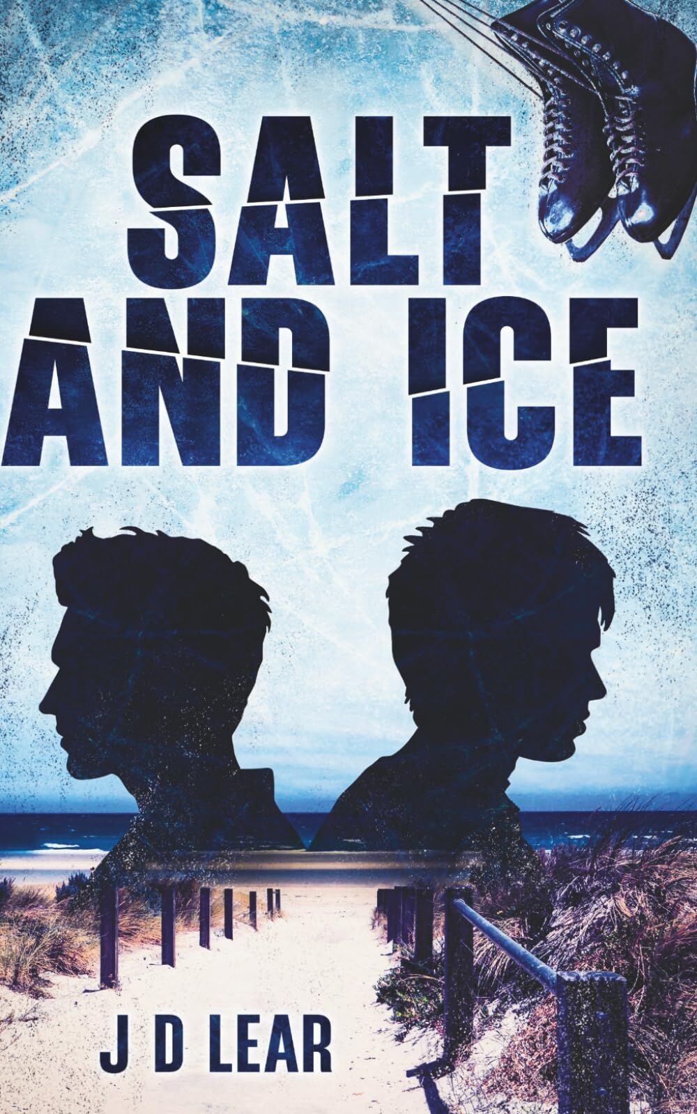 Salt and Ice