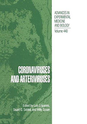 Coronaviruses and Arteriviruses (Advances in Experimental Medicine and Biology, Band 440)