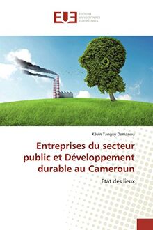 Entreprises du secteur public et Développement durable au Cameroun: Etat des lieux