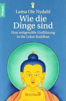 Wie die Dinge sind: Eine zeitgemäße Einführung in die Lehre Buddhas