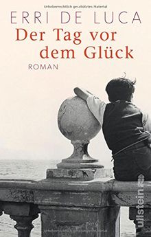 Der Tag vor dem Glück: Roman