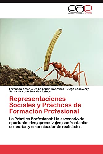 Representaciones Sociales y Prácticas de Formación Profesional: La Práctica Profesional: Un escenario de oportunidades,aprendizajes,confrontación de teorías y emancipador de realidades