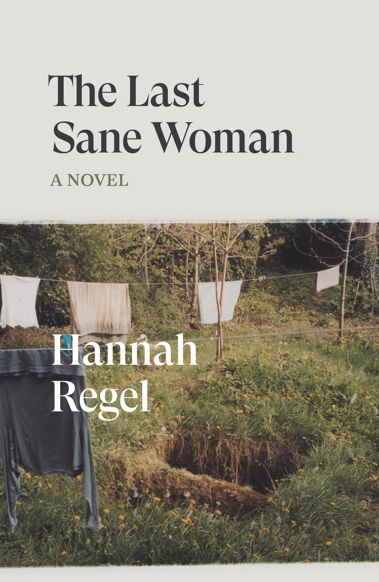 Hannah Regel The Last Sane Woman, A Novel (Verso Fiction)