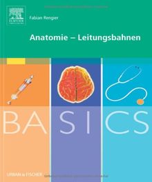 BASICS Anatomie - Leitungsbahnen