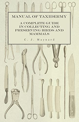 Maynard, C. J. Manual Of Taxidermy - A Complete Guide In Collecting And Preserving Birds And Mammals