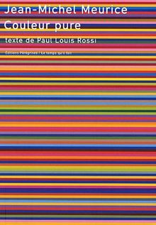 Jean-Michel Meurice, couleur pure