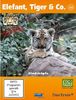 Elefant, Tiger & Co. - Teil 32: Kindsköpfe [2 DVDs]