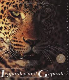 Leoparden und Geparde. Die Herrscher der Savanne