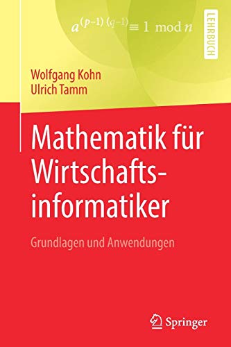 Mathematik für Wirtschaftsinformatiker - Wolfgang Kohn Ulrich Tamm Kartoniert (TB)
