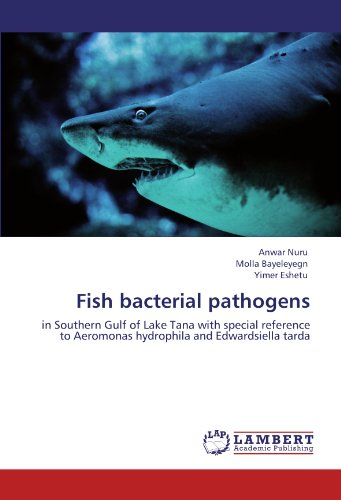 Fish bacterial pathogens: in Southern Gulf of Lake Tana with special reference to Aeromonas hydrophila and Edwardsiella tarda