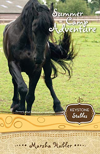 Summer Camp Adventure (4) (Keystone Stables, Band 4)