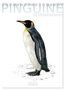Pinguine - 13 Illustrationen (Tischkalender 2023 DIN A5 hoch), Calvendo Monatskalender