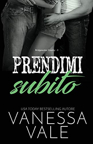 Prendimi subito: Edizione a grandi caratteri (Bridgewater County, Band 3)
