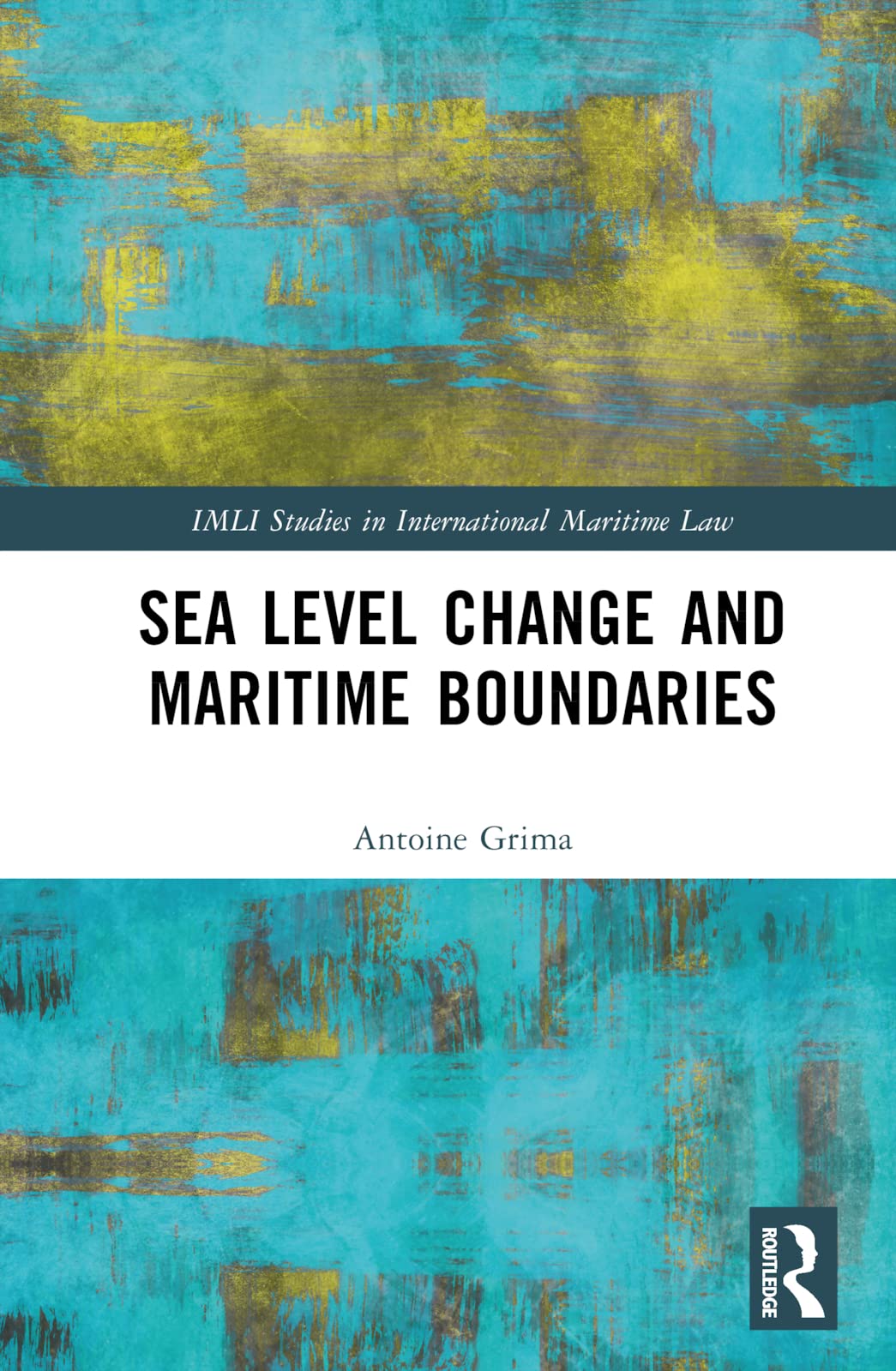 Sea Level Change and Maritime Boundaries: Shifting Baselines and Maritime Spaces (Imli Studies in International Maritime Law)