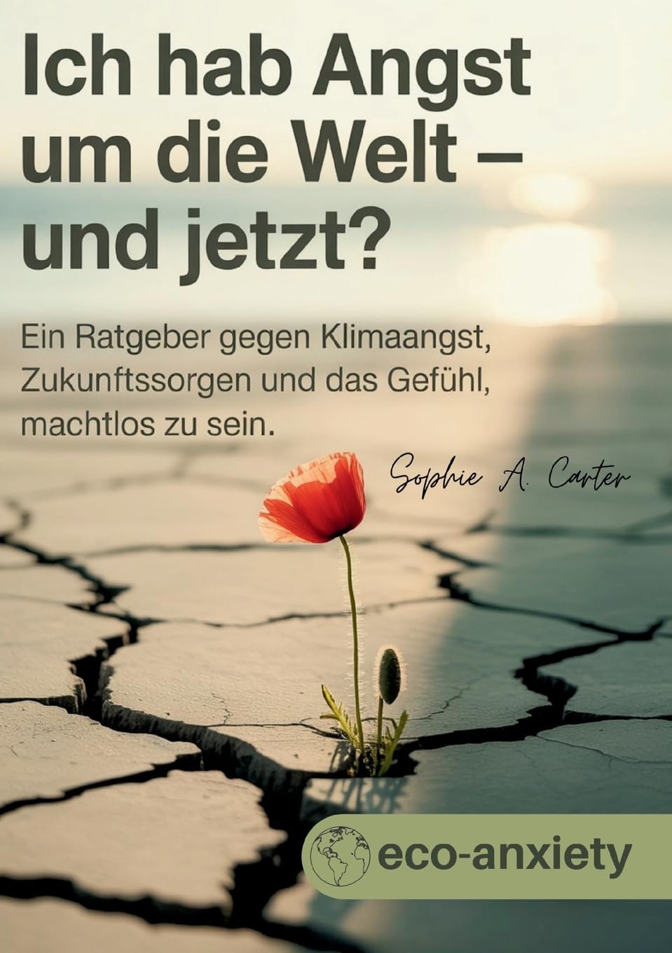 Klimaangst / Ich hab Angst um die Welt und jetzt?: Ein Ratgeber gegen Klimaangst, Zukunftssorgen und das Gefühl, machtlos zu sein