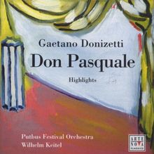 Donizetti: Don Pasquale (Highlights) von Keitel,W., Putbus Festival Orc. | CD | Zustand gut