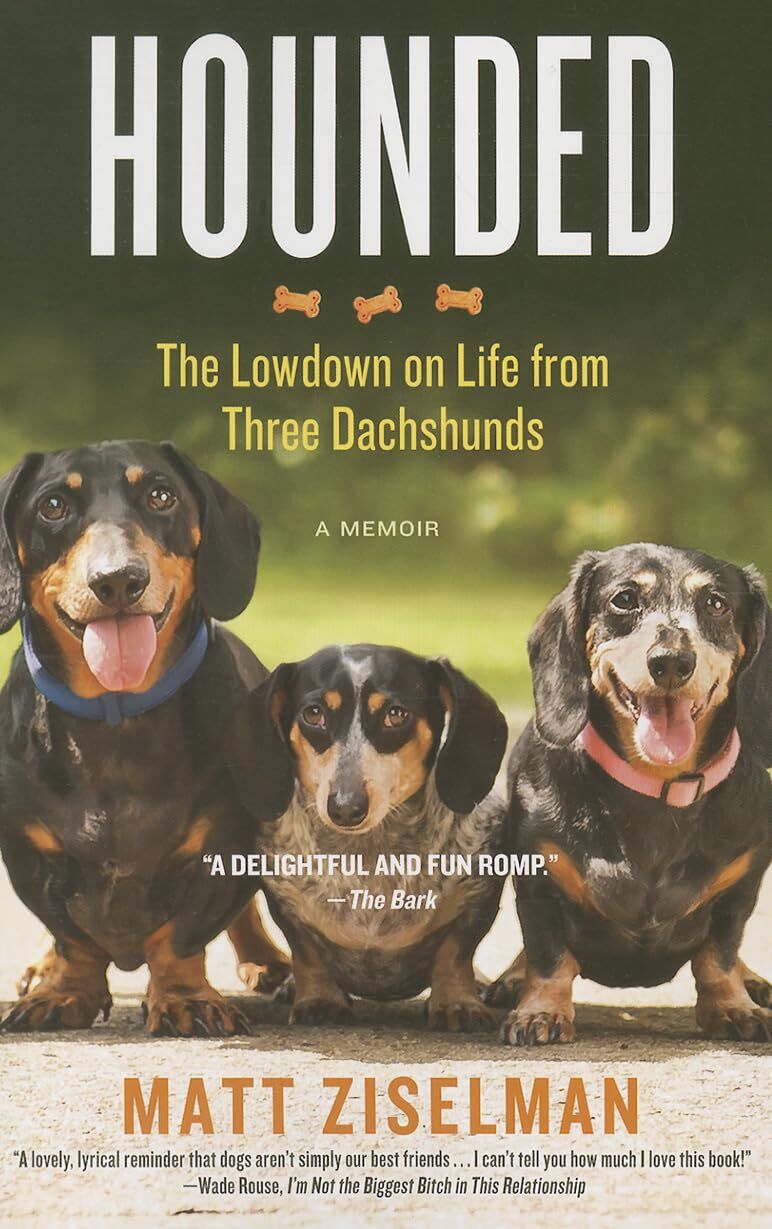 HOUNDED