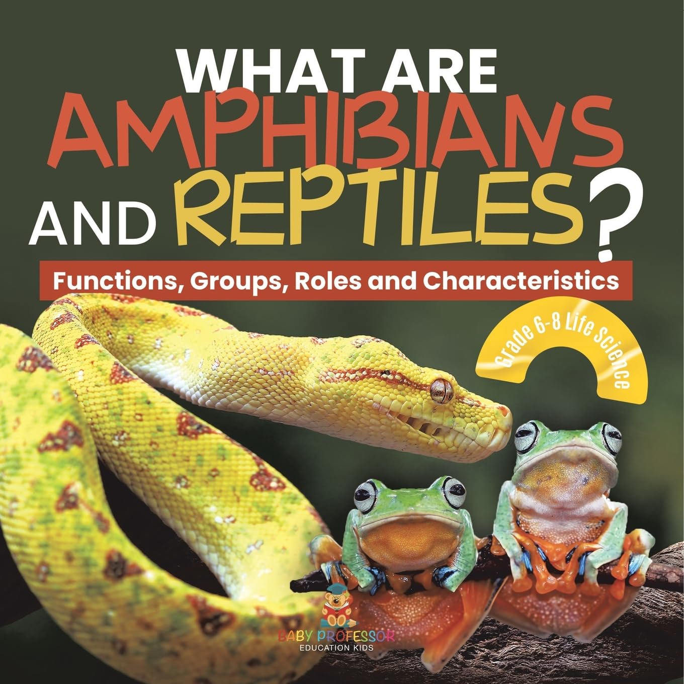 What are Amphibians and Reptiles? Functions, Groups, Roles and Characteristics Grade 6-8 Life Science