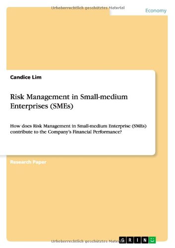 Risk Management in Small-medium Enterprises (SMEs): How does Risk Management in Small-medium Enterprise (SMEs) contribute to the Company's Financial Performance?