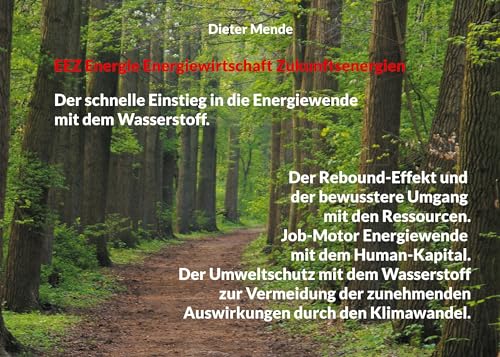 EEZ Energie Energiewirtschaft Zukunftsenergien: Der schnelle Einstieg in die Energiewende mit dem Wasserstoff. Der Rebound-Effekt und der bewusstere Umgang mit den Ressourcen. Das Human-Kapital.