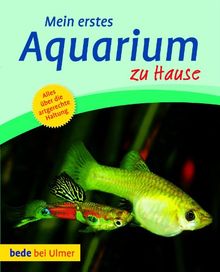 Mein erstes Aquarium zu Hause: Alles über die artgerechten Haltung