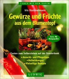 Gewürze und Früchte aus dem Blumentopf. Exoten zum Selberziehen auf der Fensterbank