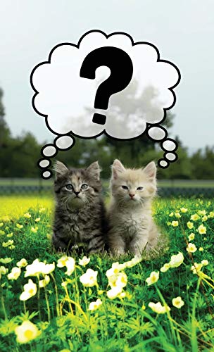 Discrete Password Logbook: Kitty Cats Edition