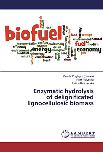 Enzymatic hydrolysis of delignificated lignocellulosic biomass