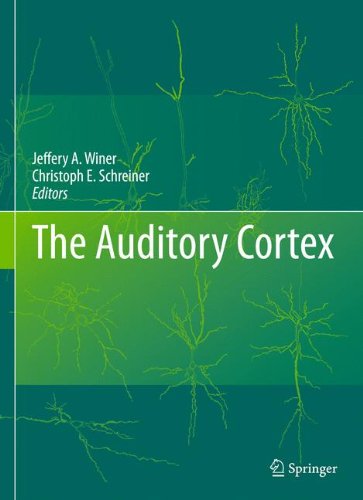 The Auditory Cortex