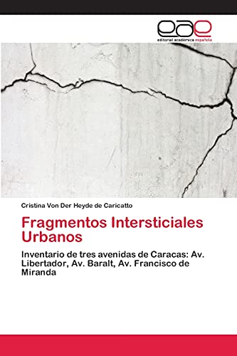 Fragmentos Intersticiales Urbanos: Inventario de tres avenidas de Caracas: Av. Libertador, Av. Baralt, Av. Francisco de Miranda