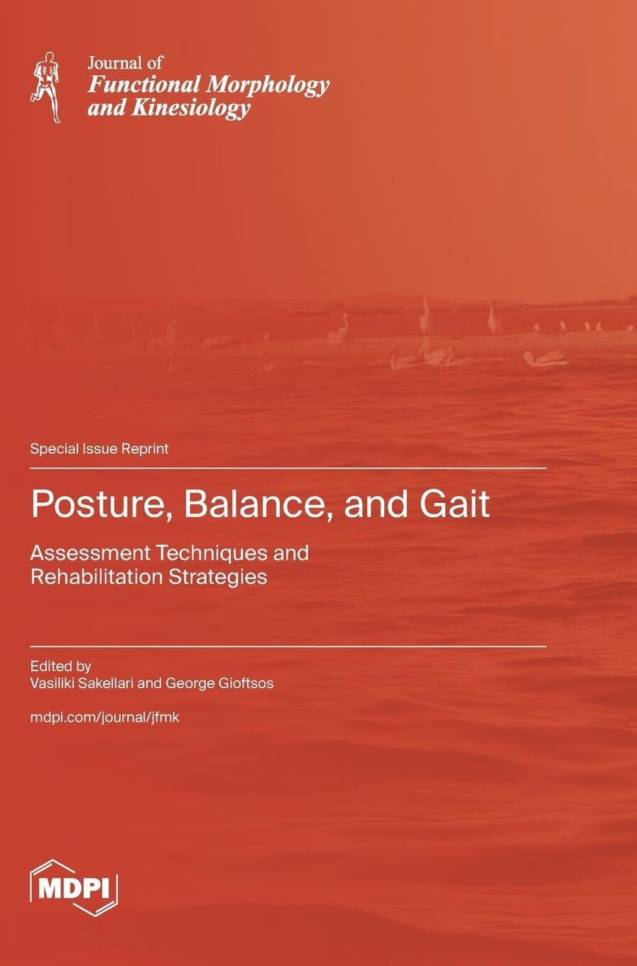 Posture, Balance, and Gait: Assessment Techniques and Rehabilitation Strategies