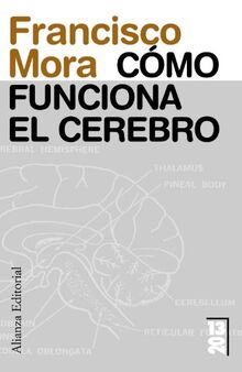 Cómo funciona el cerebro (13/20)